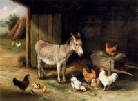 Edgar Hunt - Donkey Hens And Chickens In A Barn